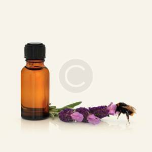 Pure Aloe Vera Massage Oil