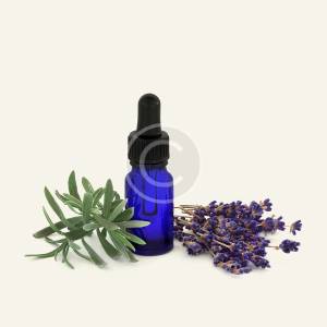 Releasing Lemongrass Essential Oil