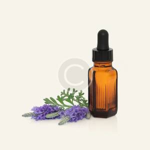 Natural Body Massage Leech Oil