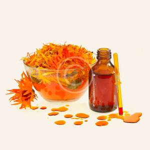 Lavender Herb Flower Essence Oil